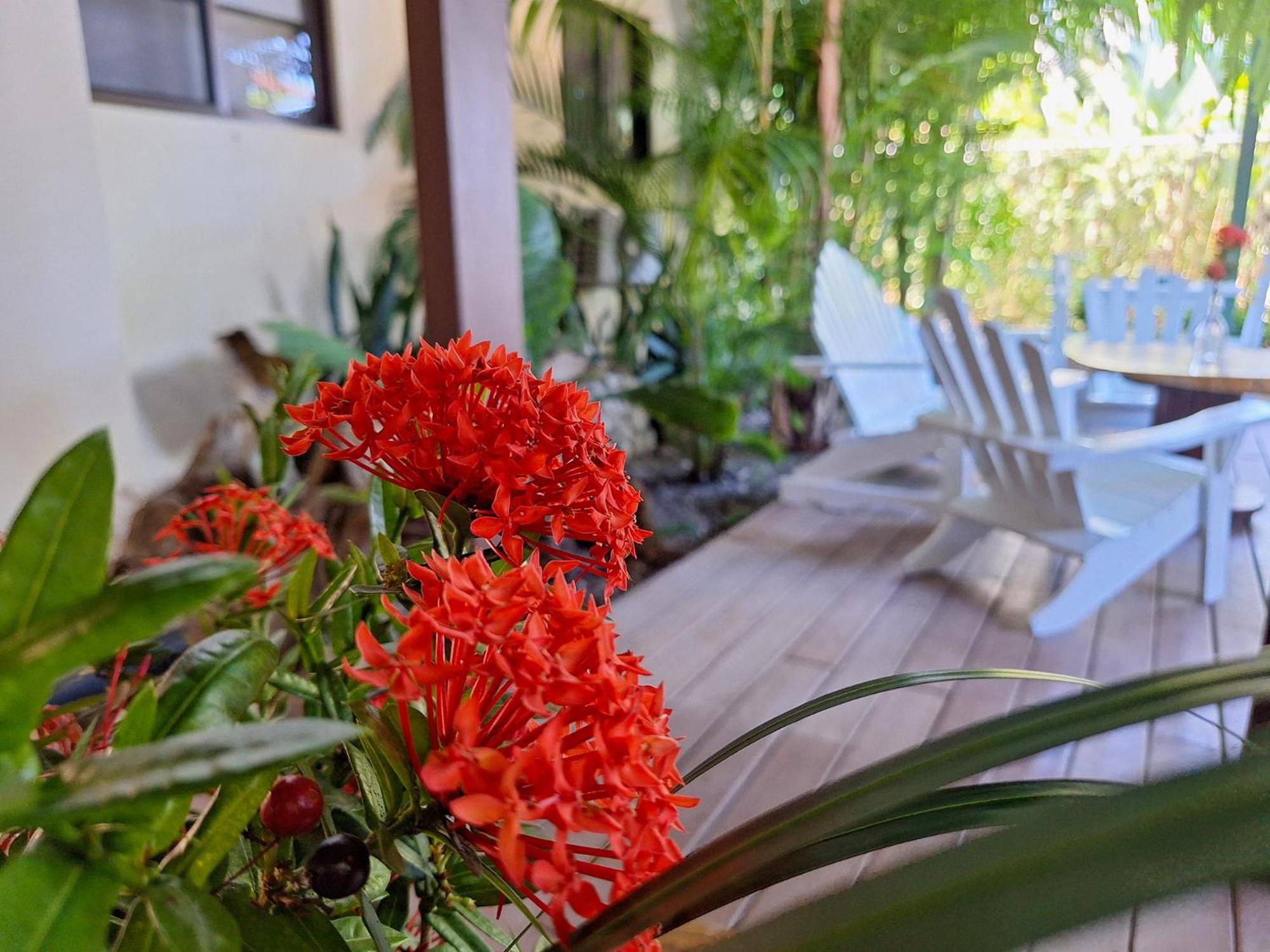 Infiniti Hotel Puerto Viejo de Talamanca 外观 照片